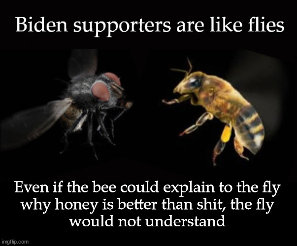 Biden supporters are like flies II - Imgflip