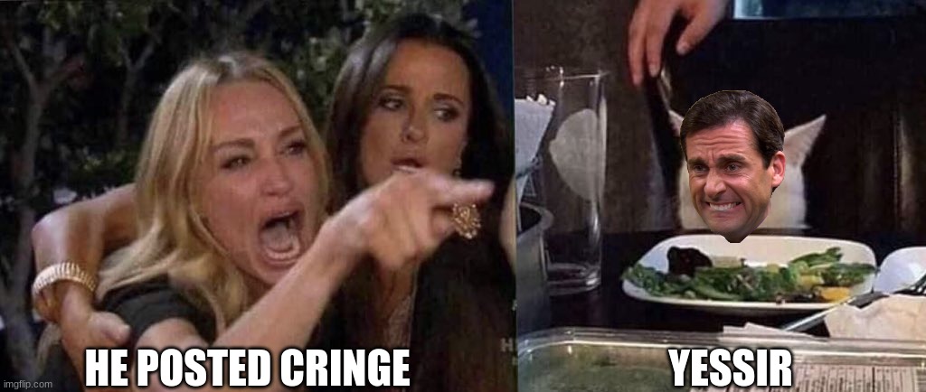 woman yelling at cat | HE POSTED CRINGE; YESSIR | image tagged in woman yelling at cat | made w/ Imgflip meme maker