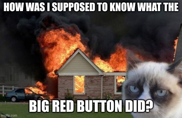 Burn Kitty | HOW WAS I SUPPOSED TO KNOW WHAT THE; BIG RED BUTTON DID? | image tagged in memes,burn kitty,grumpy cat | made w/ Imgflip meme maker