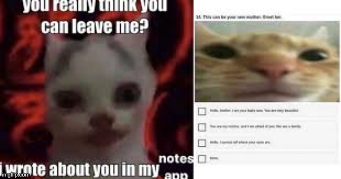 YOU THINK?!?!?! | image tagged in grumpy cat | made w/ Imgflip meme maker