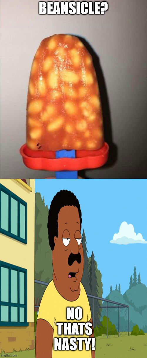 BEANSICLE? NO THATS NASTY! | made w/ Imgflip meme maker