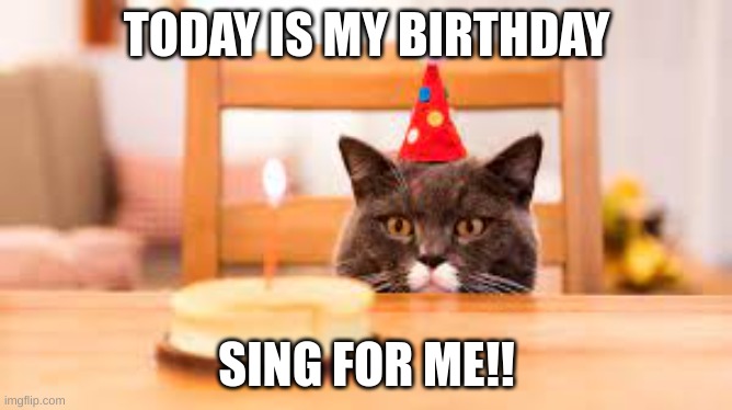 Clever Title | TODAY IS MY BIRTHDAY; SING FOR ME!! | image tagged in wholesome | made w/ Imgflip meme maker