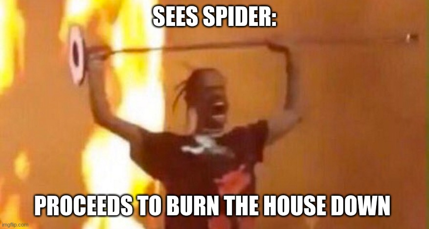 travus scoots | SEES SPIDER:; PROCEEDS TO BURN THE HOUSE DOWN | image tagged in balls,trash can | made w/ Imgflip meme maker