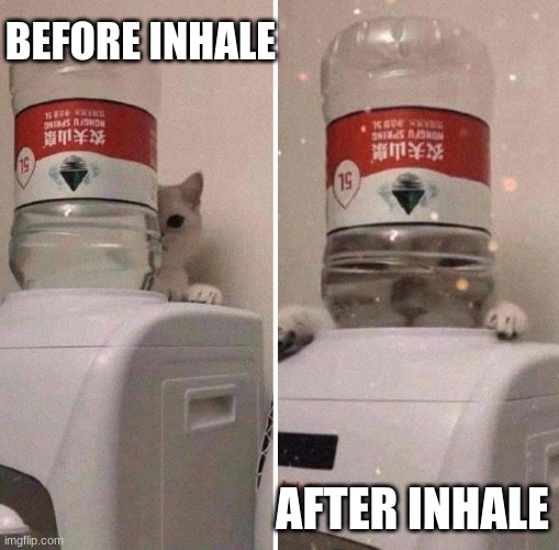 Breathing makes people fat. | BEFORE INHALE; AFTER INHALE | image tagged in grumpy cat | made w/ Imgflip meme maker