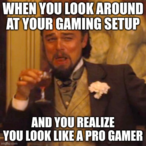 Laughing Leo Meme | WHEN YOU LOOK AROUND AT YOUR GAMING SETUP; AND YOU REALIZE YOU LOOK LIKE A PRO GAMER | image tagged in memes,laughing leo | made w/ Imgflip meme maker