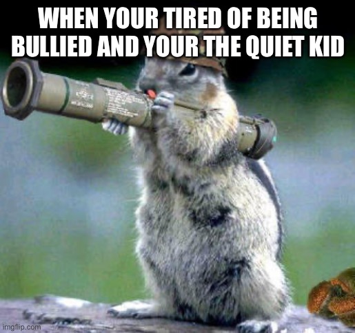 quiet kid | WHEN YOUR TIRED OF BEING BULLIED AND YOUR THE QUIET KID | image tagged in memes,bazooka squirrel | made w/ Imgflip meme maker