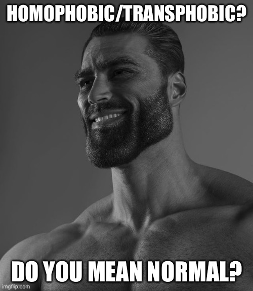 Giga Chad | HOMOPHOBIC/TRANSPHOBIC? DO YOU MEAN NORMAL? | image tagged in giga chad | made w/ Imgflip meme maker