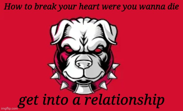 Well its true | How to break your heart were you wanna die; get into a relationship | image tagged in dog | made w/ Imgflip meme maker