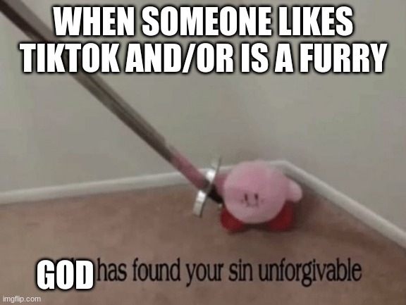 Am I Wrong Though? |  WHEN SOMEONE LIKES TIKTOK AND/OR IS A FURRY; GOD | image tagged in kirby has found your sin unforgivable,furries,tiktok | made w/ Imgflip meme maker