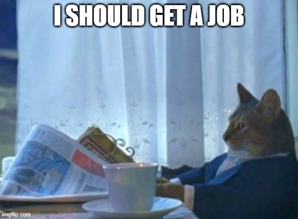 I Should Buy A Boat Cat Meme | I SHOULD GET A JOB | image tagged in memes,i should buy a boat cat | made w/ Imgflip meme maker