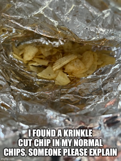 what? | I FOUND A KRINKLE CUT CHIP IN MY NORMAL CHIPS, SOMEONE PLEASE EXPLAIN | image tagged in chips | made w/ Imgflip meme maker