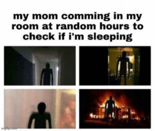 my mom comming in my room at random hours to check if i'm sleeping | made w/ Imgflip meme maker