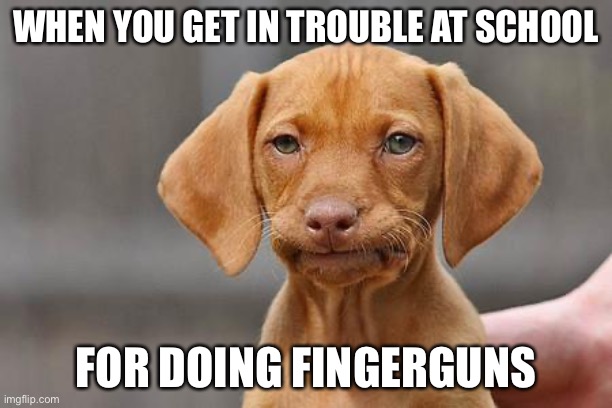 True story | WHEN YOU GET IN TROUBLE AT SCHOOL; FOR DOING FINGERGUNS | image tagged in dissapointed puppy | made w/ Imgflip meme maker