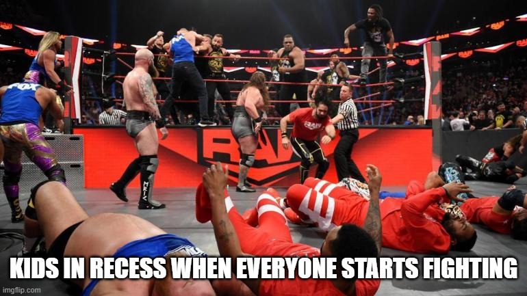 Wwe nxt raw smackdown | KIDS IN RECESS WHEN EVERYONE STARTS FIGHTING | image tagged in wwe nxt raw smackdown | made w/ Imgflip meme maker