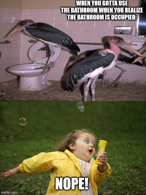 WHEN YOU GOTTA USE THE BATHROOM WHEN YOU REALIZE THE BATHROOM IS OCCUPIED:; NOPE! | image tagged in running kid | made w/ Imgflip meme maker