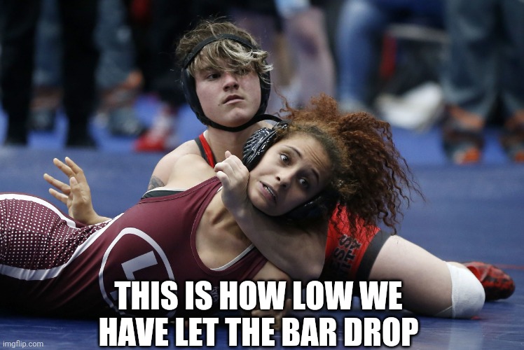 Man beating girl at wrestling | THIS IS HOW LOW WE HAVE LET THE BAR DROP | image tagged in man beating girl at wrestling | made w/ Imgflip meme maker