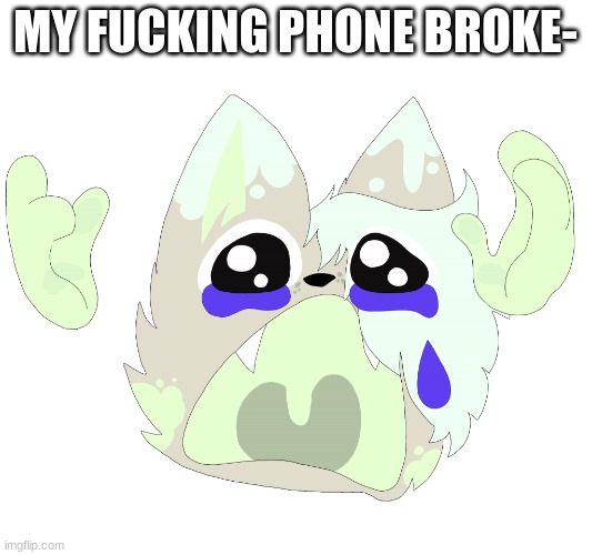 FUCKKKKKKKKKK | MY FUCKING PHONE BROKE- | image tagged in waaaaa mint | made w/ Imgflip meme maker