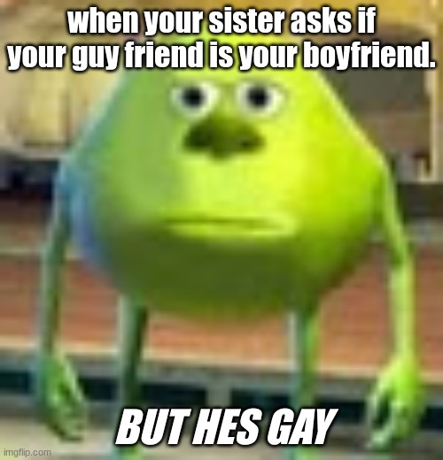 Like bro- (yes this did happen) | when your sister asks if your guy friend is your boyfriend. BUT HES GAY | image tagged in sully wazowski | made w/ Imgflip meme maker