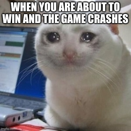 the pain is real | WHEN YOU ARE ABOUT TO WIN AND THE GAME CRASHES | image tagged in crying cat | made w/ Imgflip meme maker