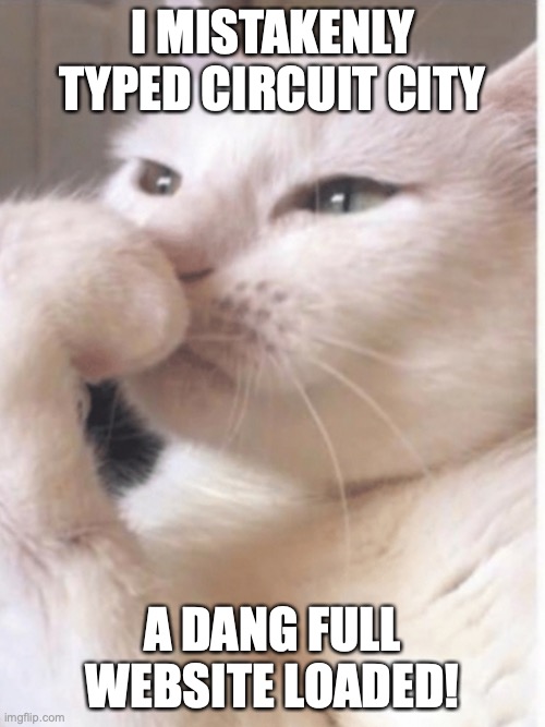 Circuit City Thoughts | I MISTAKENLY TYPED CIRCUIT CITY; A DANG FULL WEBSITE LOADED! | image tagged in smudge deep thoughts | made w/ Imgflip meme maker