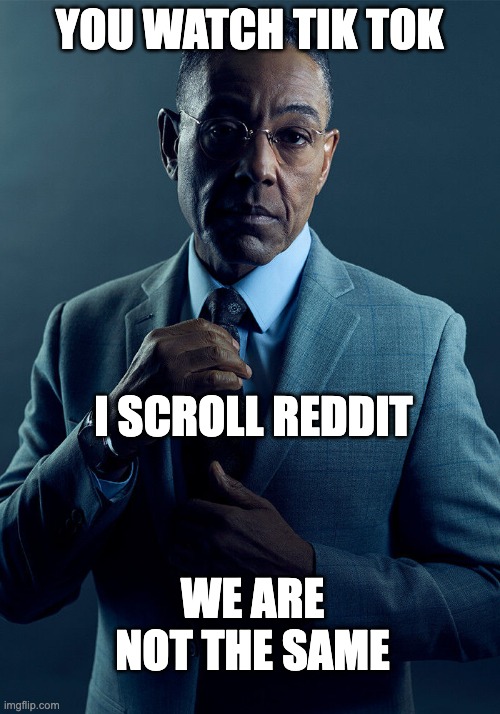 Gus Fring we are not the same | YOU WATCH TIK TOK; I SCROLL REDDIT; WE ARE NOT THE SAME | image tagged in gus fring we are not the same | made w/ Imgflip meme maker