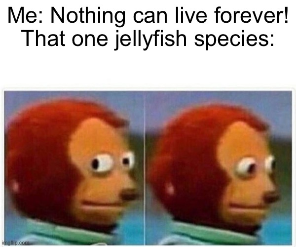 That one jellyfish species | Me: Nothing can live forever!
That one jellyfish species: | image tagged in memes,monkey puppet | made w/ Imgflip meme maker