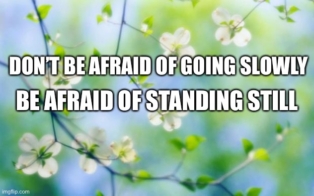 flowers | DON’T BE AFRAID OF GOING SLOWLY; BE AFRAID OF STANDING STILL | image tagged in flowers | made w/ Imgflip meme maker