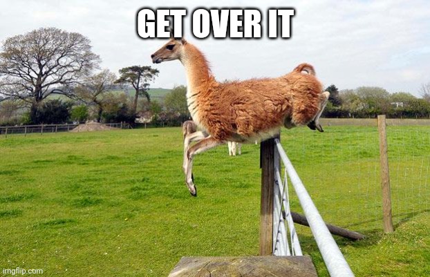 No drama llama | GET OVER IT | image tagged in no drama llama | made w/ Imgflip meme maker
