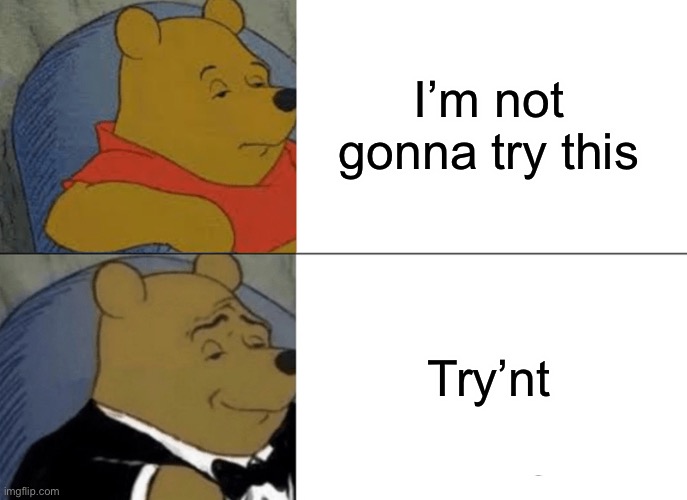 Trynt | I’m not gonna try this; Try’not | image tagged in memes,tuxedo winnie the pooh,trynt | made w/ Imgflip meme maker