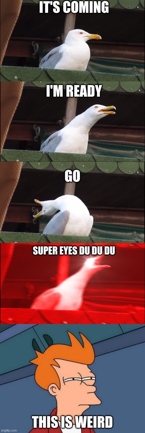  IT'S COMING; I'M READY; GO; SUPER EYES DU DU DU; THIS IS WEIRD | image tagged in memes,inhaling seagull,futurama fry | made w/ Imgflip meme maker