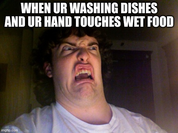 dont bother saying repost ,many have made this one already |  WHEN UR WASHING DISHES AND UR HAND TOUCHES WET FOOD | image tagged in memes,oh no | made w/ Imgflip meme maker