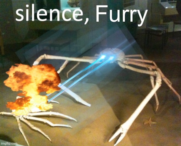 Silence Crab | Furry | image tagged in silence crab | made w/ Imgflip meme maker