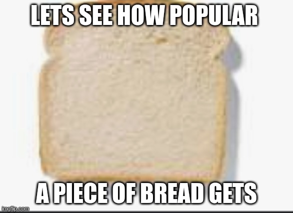 yeah well idgaf if its upvote begging i just want to see | LETS SEE HOW POPULAR; A PIECE OF BREAD GETS | image tagged in bread | made w/ Imgflip meme maker