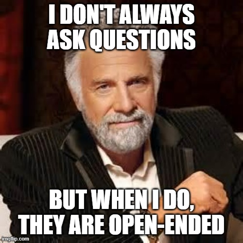 MI ques | I DON'T ALWAYS ASK QUESTIONS; BUT WHEN I DO, THEY ARE OPEN-ENDED | image tagged in dos equis guy awesome | made w/ Imgflip meme maker