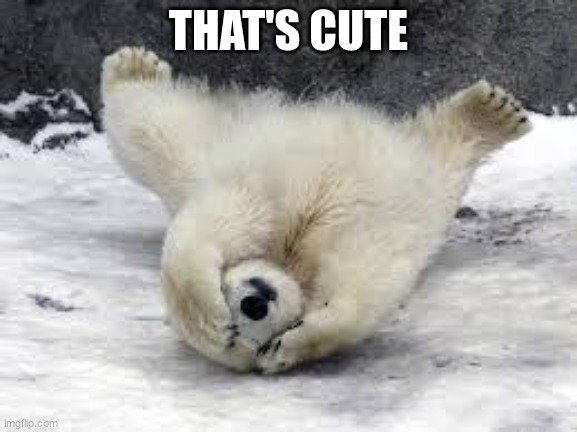 You can't see me! | THAT'S CUTE | image tagged in you can't see me | made w/ Imgflip meme maker