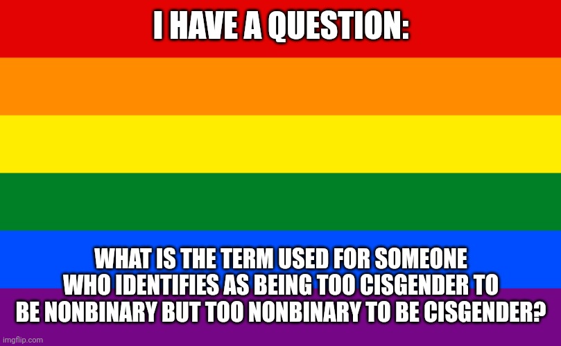 It Applies to Me, So I Would Like to Know... | I HAVE A QUESTION:; WHAT IS THE TERM USED FOR SOMEONE WHO IDENTIFIES AS BEING TOO CISGENDER TO BE NONBINARY BUT TOO NONBINARY TO BE CISGENDER? | image tagged in pride flag,memes,lgbtq,cisgender,nonbinary,question | made w/ Imgflip meme maker