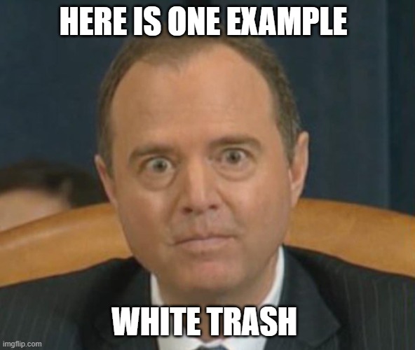 Crazy Adam Schiff | HERE IS ONE EXAMPLE WHITE TRASH | image tagged in crazy adam schiff | made w/ Imgflip meme maker