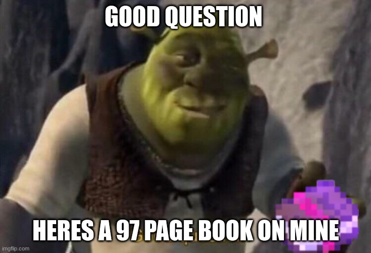 Shrek good question | GOOD QUESTION HERES A 97 PAGE BOOK ON MINE | image tagged in shrek good question | made w/ Imgflip meme maker