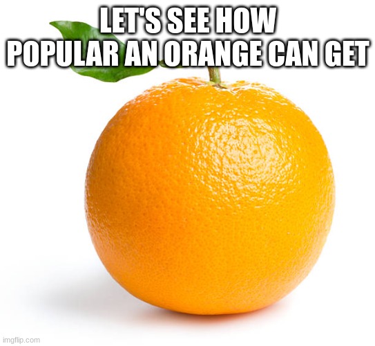 Let's see | LET'S SEE HOW POPULAR AN ORANGE CAN GET | image tagged in memes | made w/ Imgflip meme maker
