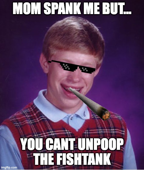 Bad Luck Brian | MOM SPANK ME BUT... YOU CANT UNPOOP THE FISHTANK | image tagged in memes,bad luck brian,fish | made w/ Imgflip meme maker