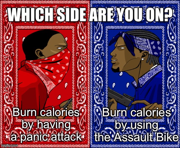 Which side?! | Burn calories by using the Assault Bike; Burn calories by having a panic attack | image tagged in which side are you on | made w/ Imgflip meme maker