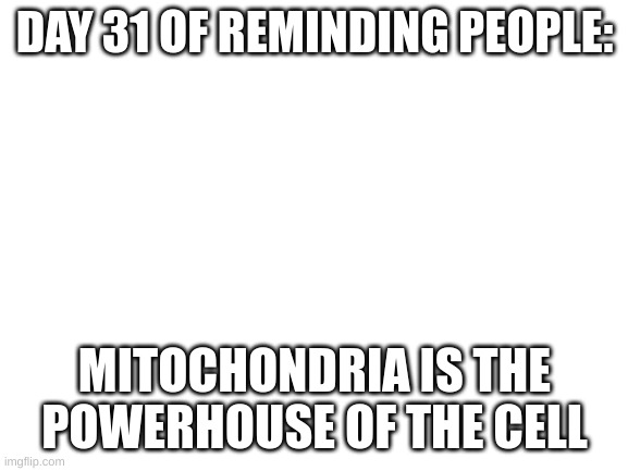 day 31 | DAY 31 OF REMINDING PEOPLE:; MITOCHONDRIA IS THE POWERHOUSE OF THE CELL | image tagged in blank white template | made w/ Imgflip meme maker