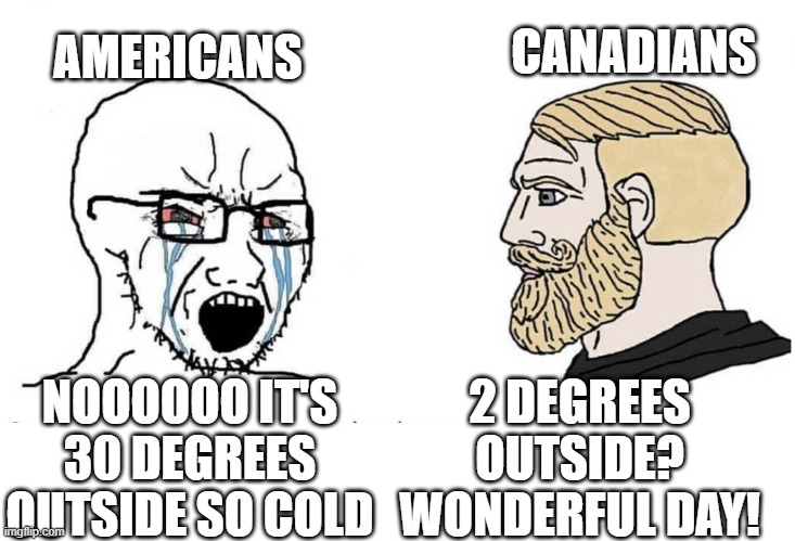 True | CANADIANS; AMERICANS; 2 DEGREES OUTSIDE? WONDERFUL DAY! NOOOOOO IT'S 30 DEGREES OUTSIDE SO COLD | image tagged in soyboy vs yes chad | made w/ Imgflip meme maker