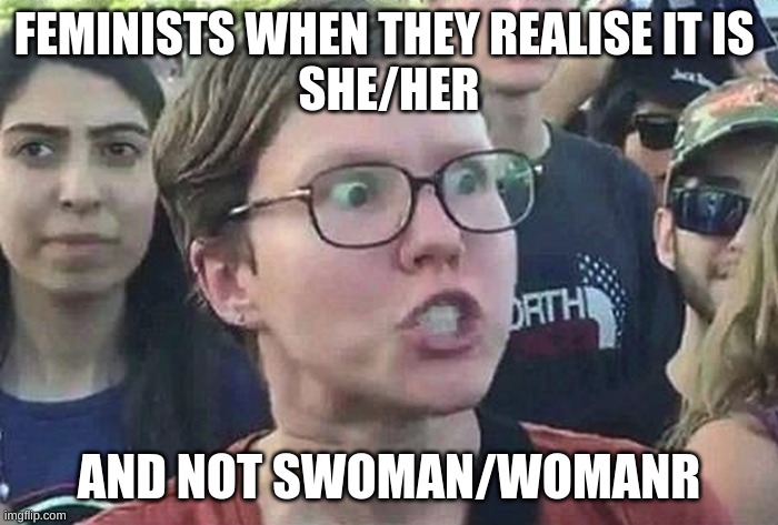 Triggered Liberal | FEMINISTS WHEN THEY REALISE IT IS 
SHE/HER; AND NOT SWOMAN/WOMANR | image tagged in triggered liberal | made w/ Imgflip meme maker