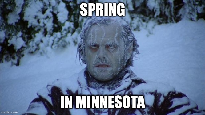 BRRRR | SPRING; IN MINNESOTA | image tagged in cold | made w/ Imgflip meme maker