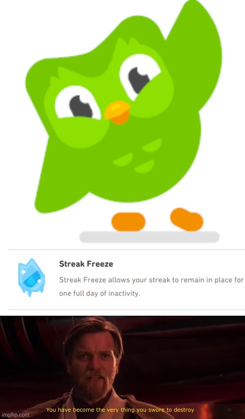 Only true Duolingo users will understand | image tagged in you have become the very thing you swore to destroy,duolingo bird | made w/ Imgflip meme maker