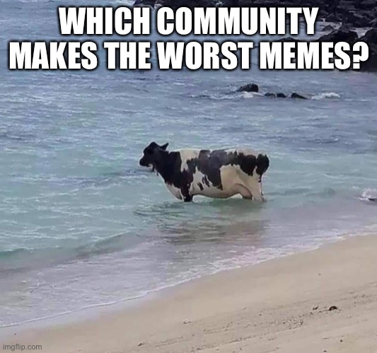 Some dumb fard gonna say “Grubhubchub200” | WHICH COMMUNITY MAKES THE WORST MEMES? | image tagged in cow in the ocean | made w/ Imgflip meme maker