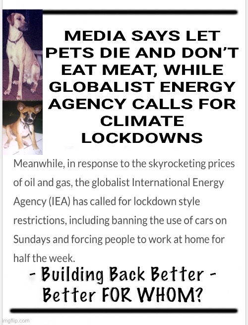 Suck it up, buttercup.  Life is hard. (For us Plebs) | - Building Back Better -
Better FOR WHOM? | image tagged in memes,elites will keep living it up,they want us to eat dirt,globalists think they own us,elite globalists can kiss my hairy ass | made w/ Imgflip meme maker