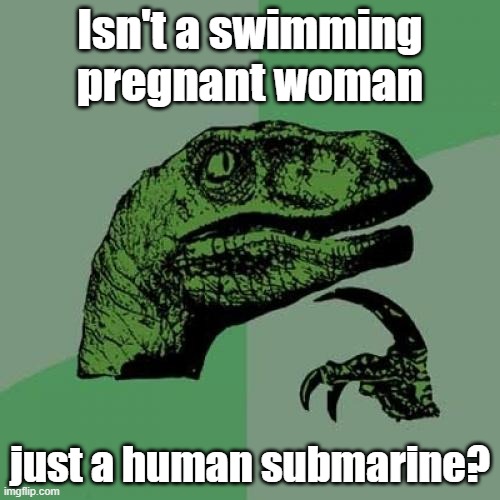 My friend told me this and I thought it was funny. His IMG name is NaturalMemer | Isn't a swimming pregnant woman; just a human submarine? | image tagged in memes,philosoraptor | made w/ Imgflip meme maker