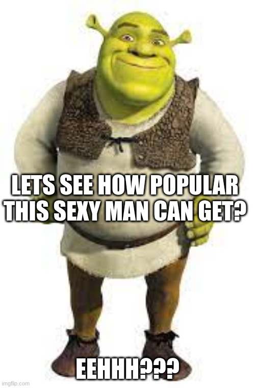 And btw not upvote begging btw | LETS SEE HOW POPULAR THIS SEXY MAN CAN GET? EEHHH??? | image tagged in and shrek is sexy | made w/ Imgflip meme maker